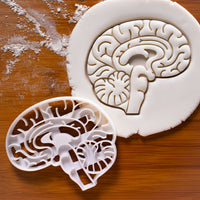 anatomical brain cookie cutter