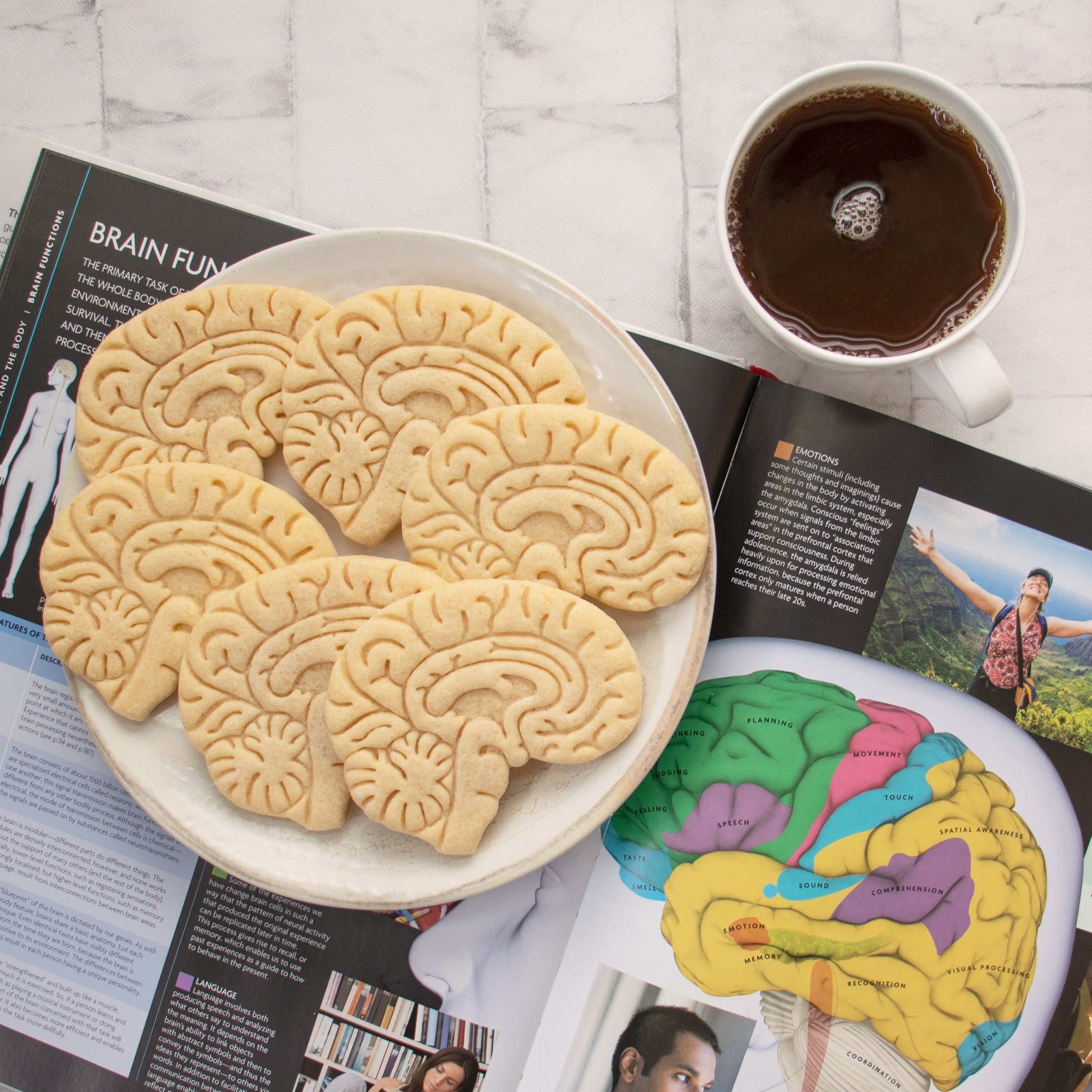 anatomical brain cookies