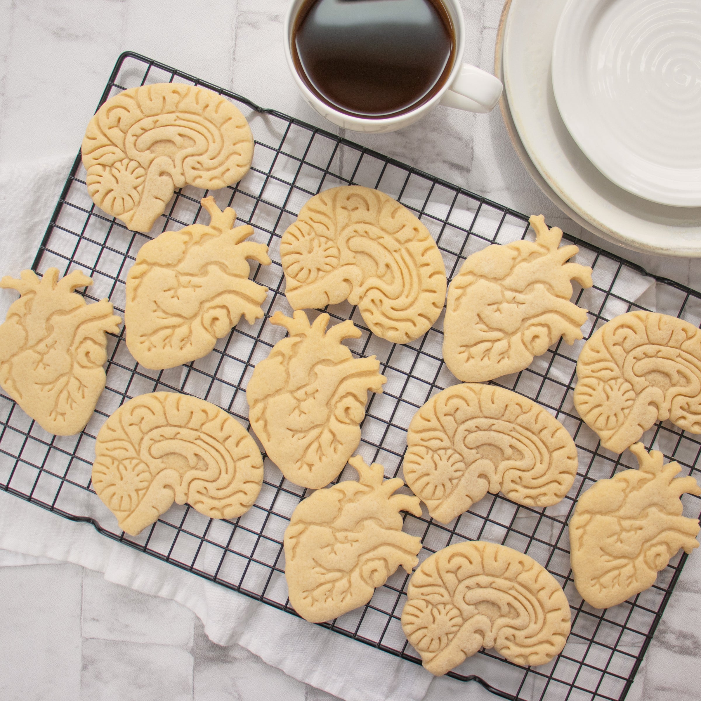 anatomical heart and anatomical brain cookies on a plate