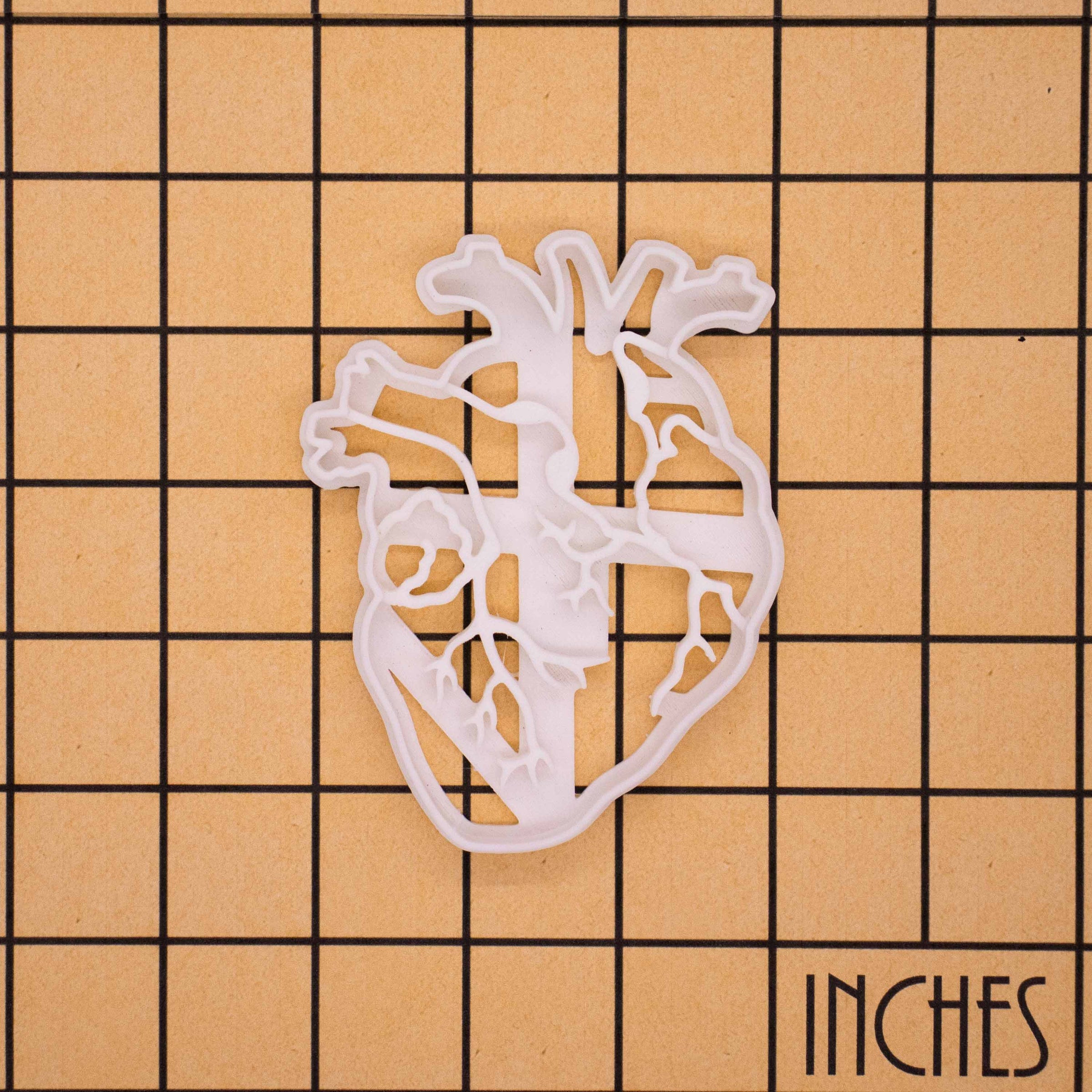 anatomical heart cookie cutter