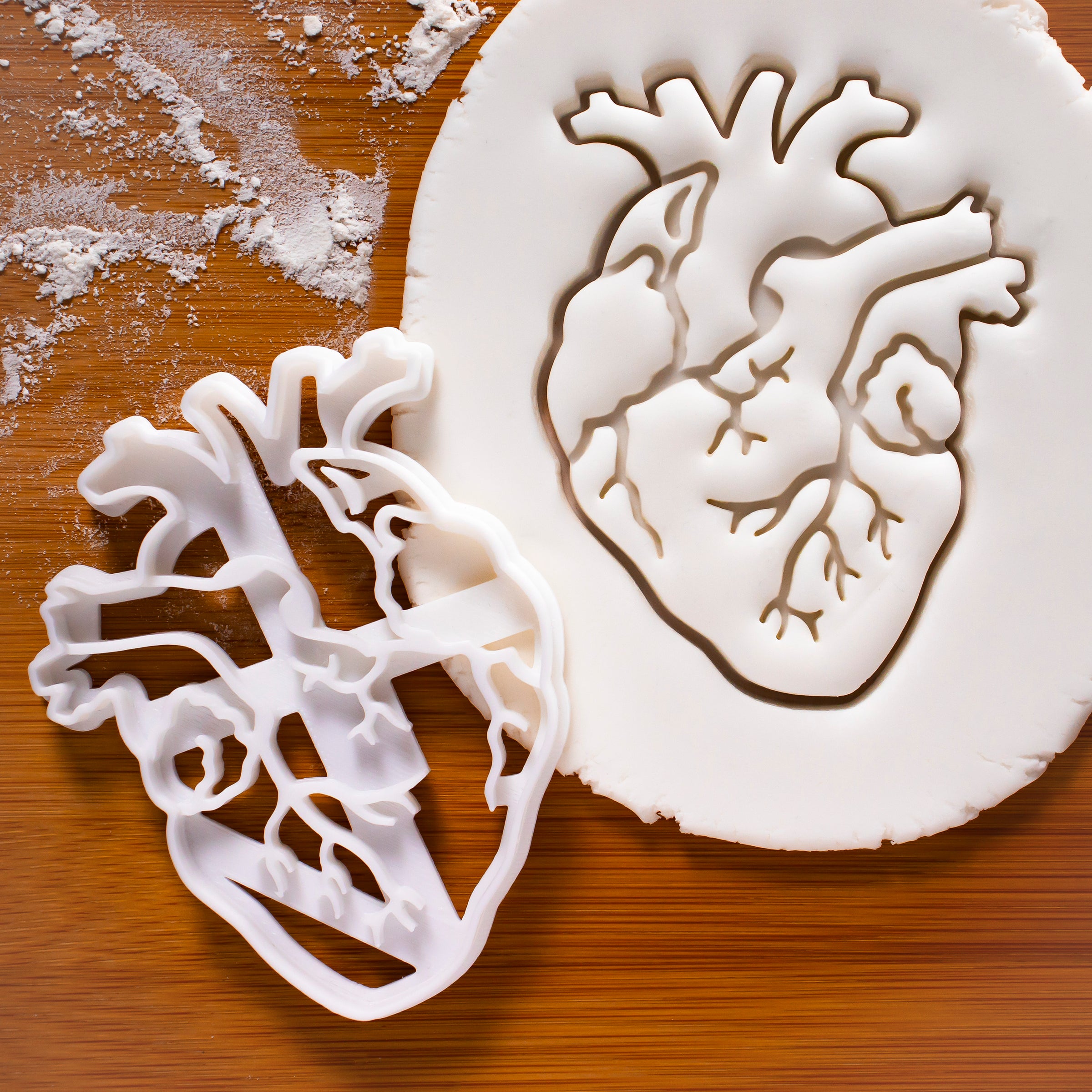 anatomical heart cookie cutter