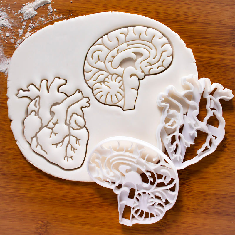 set of anatomical heart and brain cookie cutters