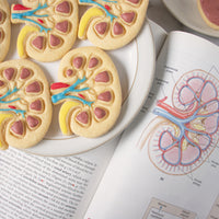Internal Kidney cookies
