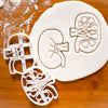 Set of 2 Kidney Cookie Cutters (Internal Kidney & External Kidney)