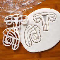 set of 2 cookie cutters, featuring a uterus and a penis anatomy