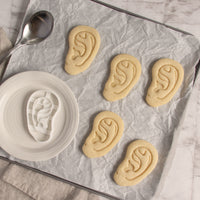 human outer ear anatomy cookies