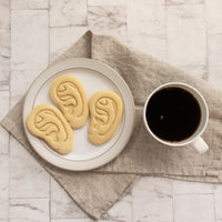 human outer ear anatomy cookies