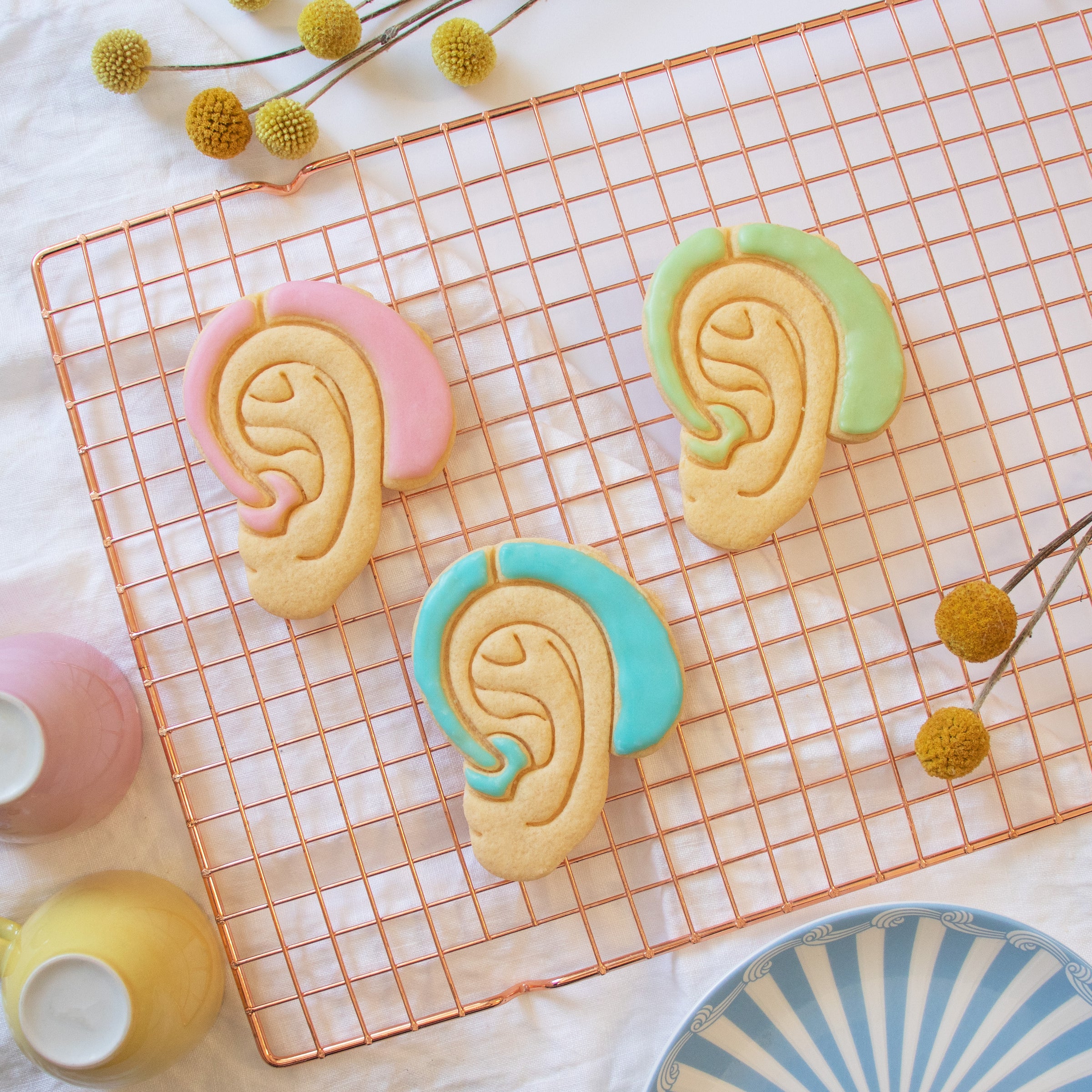 hearing aid cookies