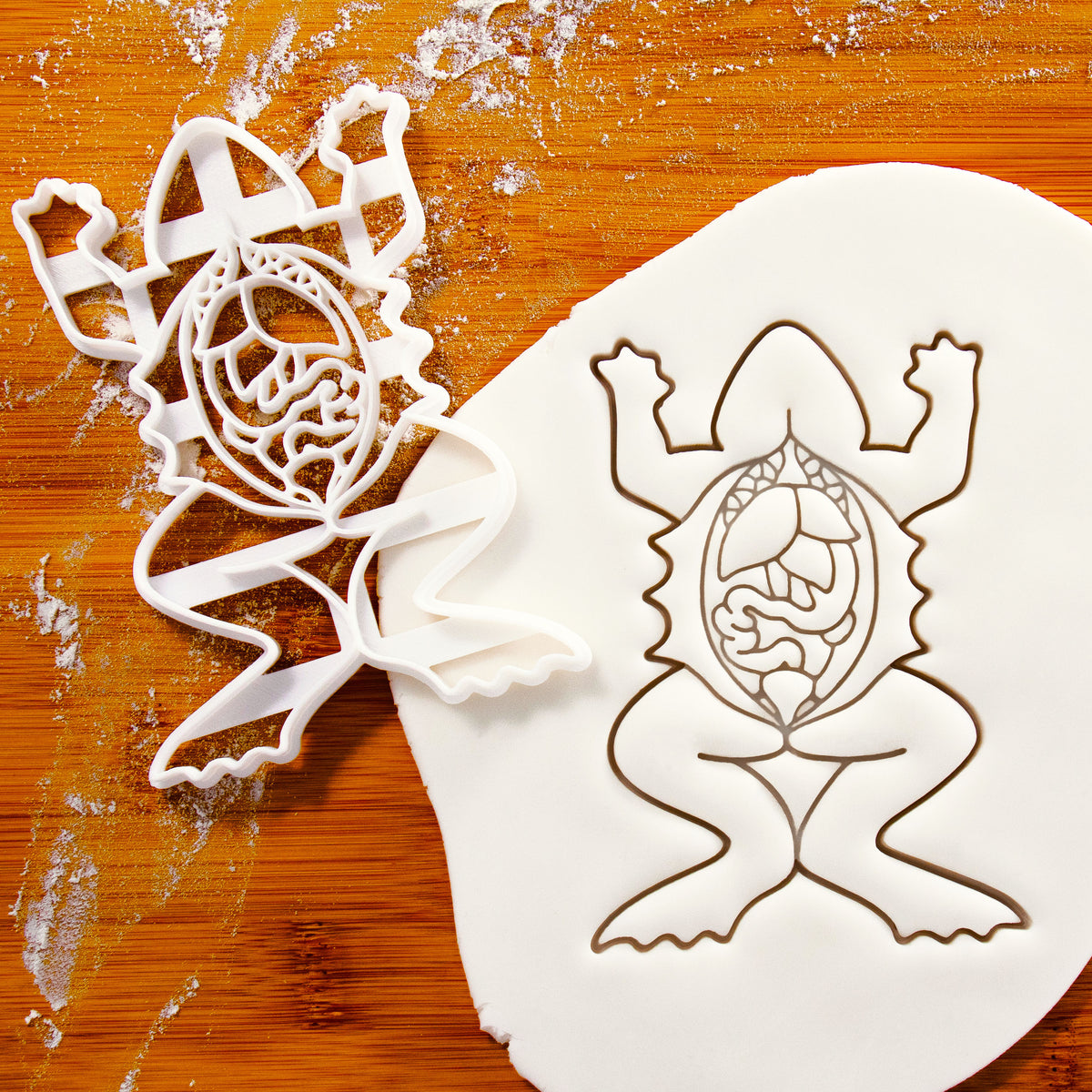 Frog Dissection Cookie Cutter