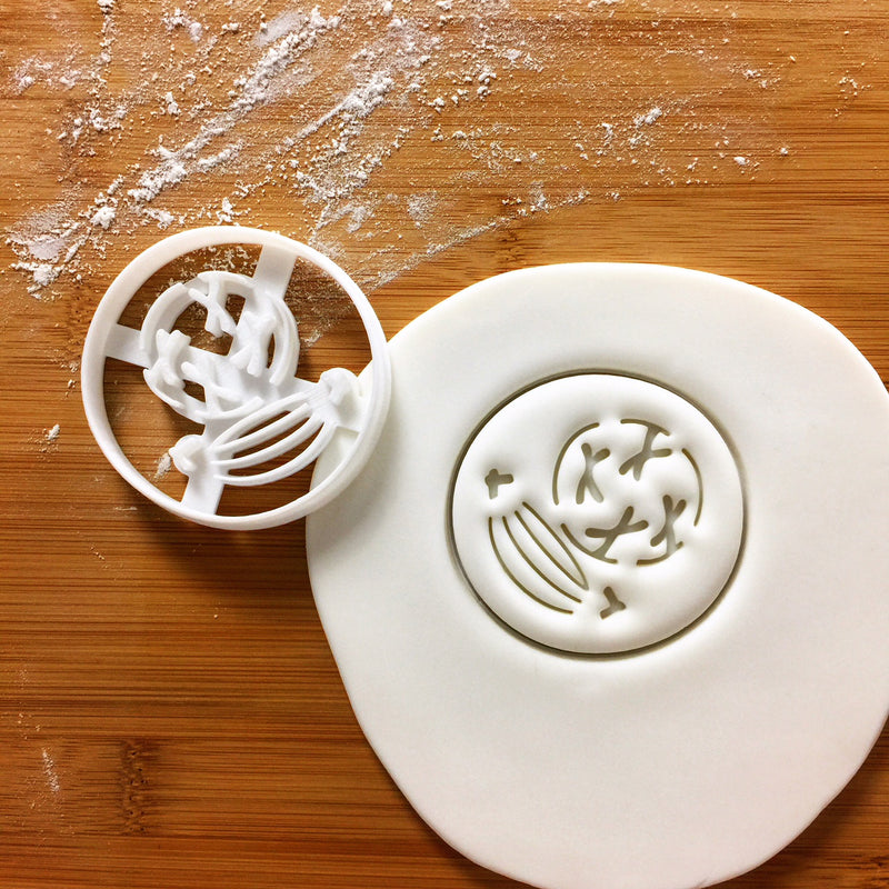 prophase mitosis cookie cutter