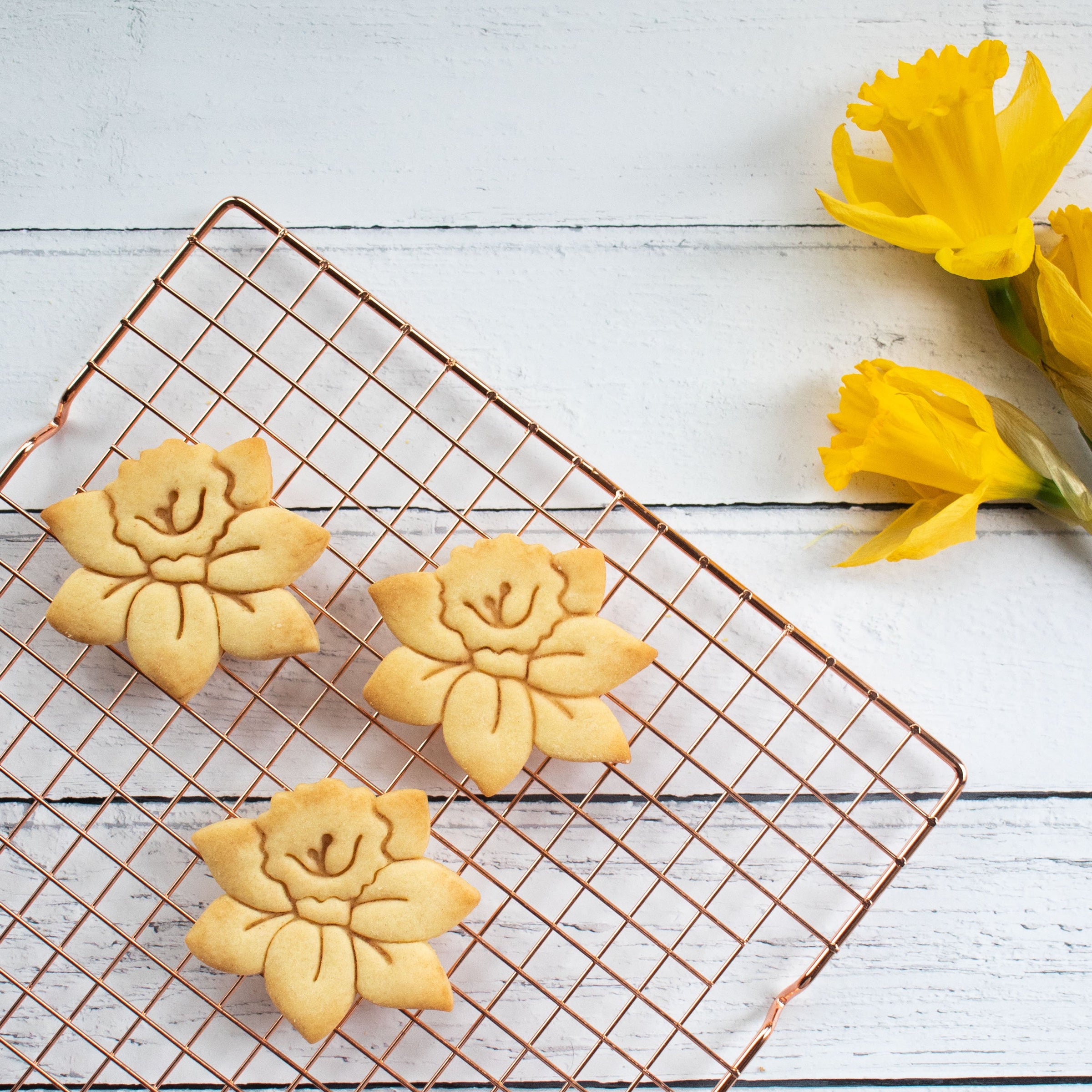 daffodil flower cookies