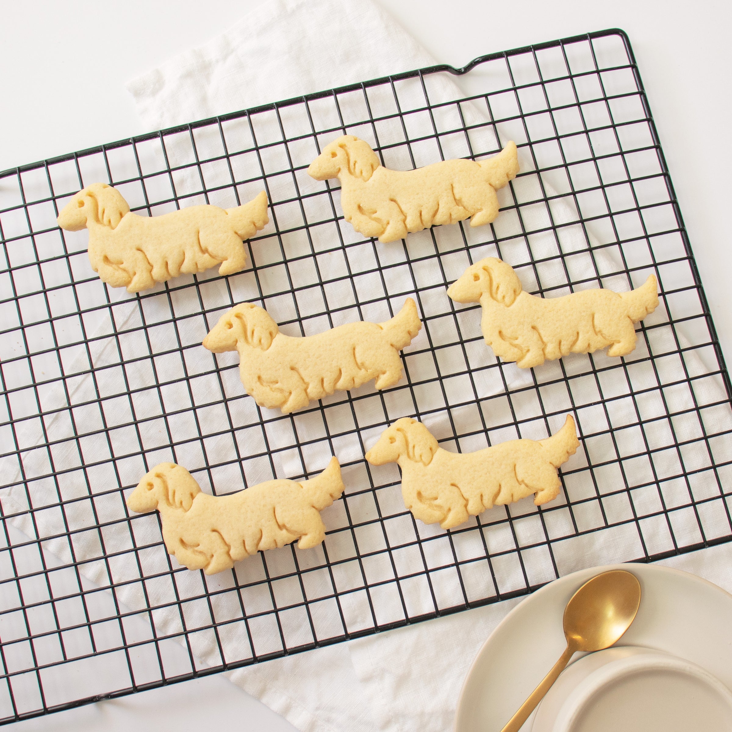 long haired dachshund dog cookies