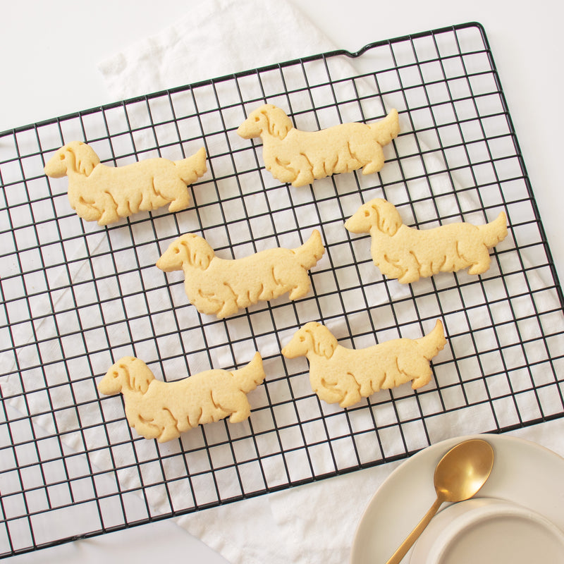 long haired dachshund dog cookies
