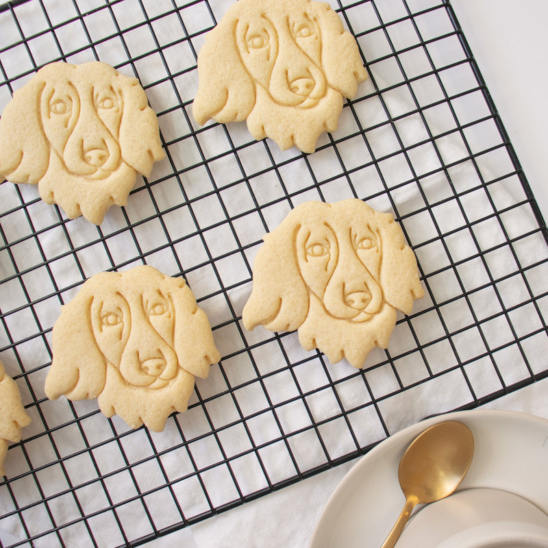 long haired dachshund dog face portrait cookies