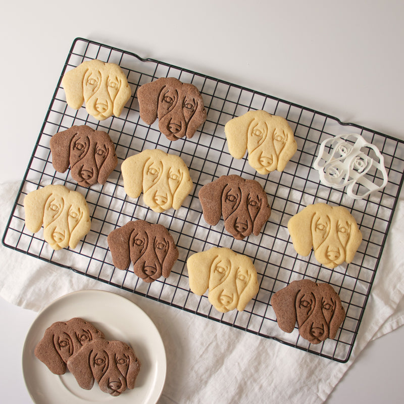 short haired dachshund face cookies