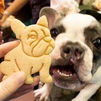 french bulldog cookie