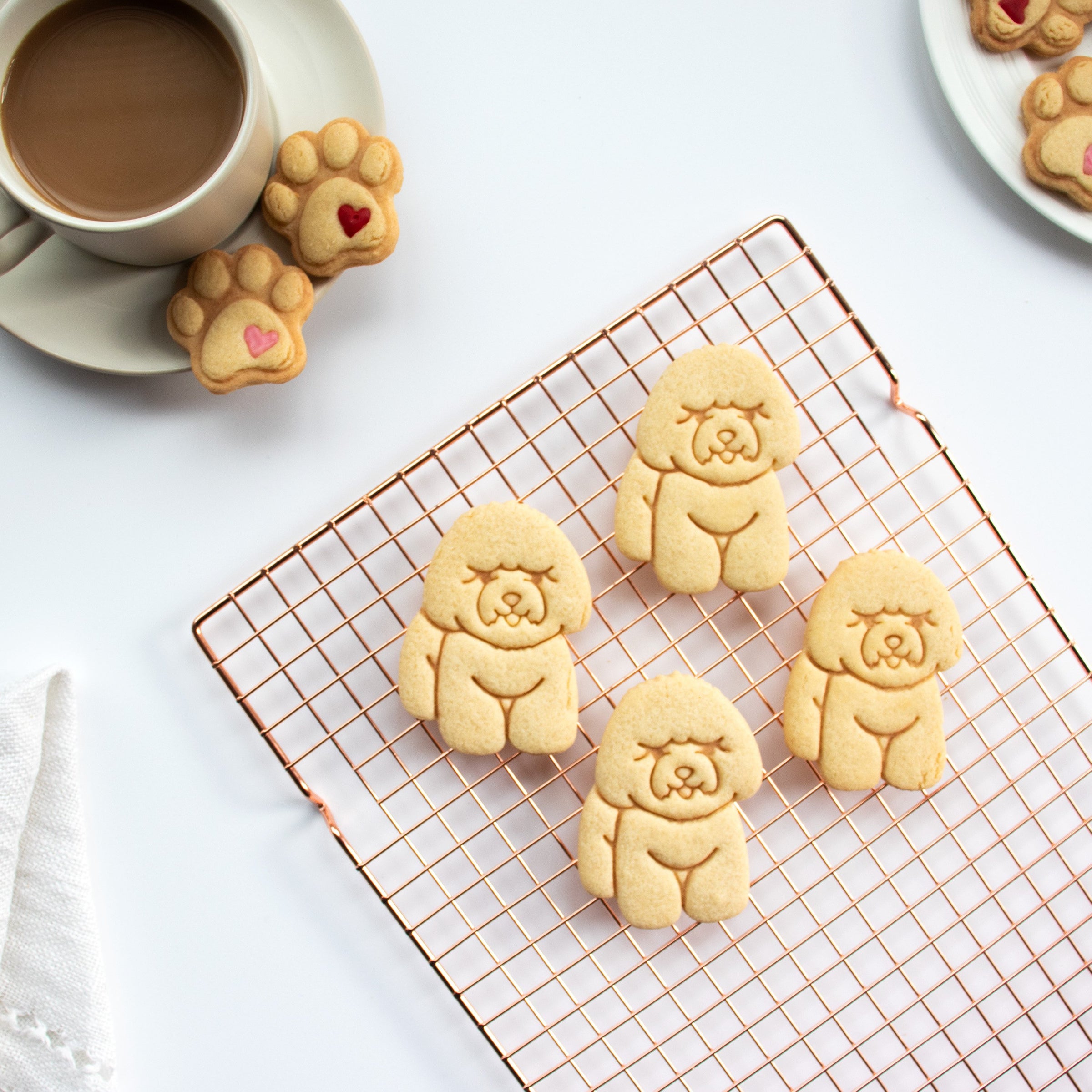 bichon frise dog cookies