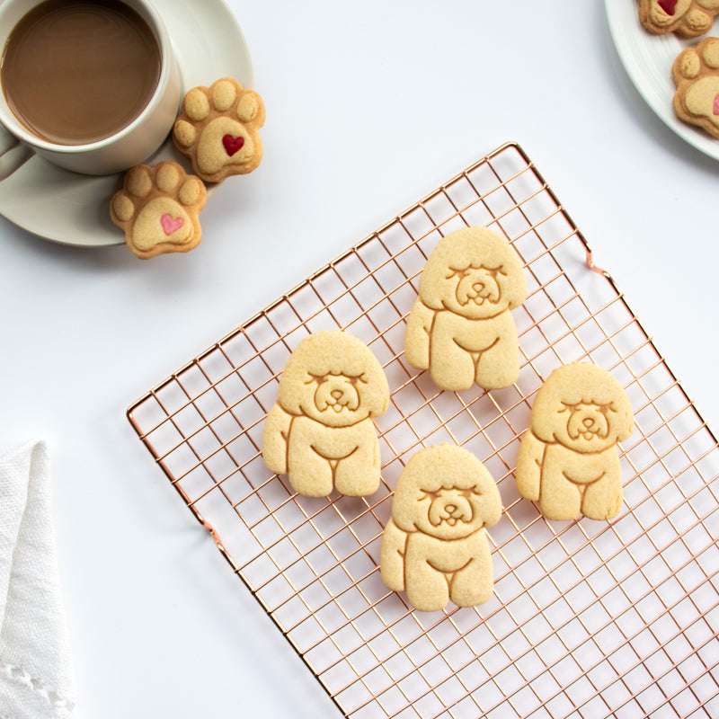 bichon frise dog cookies