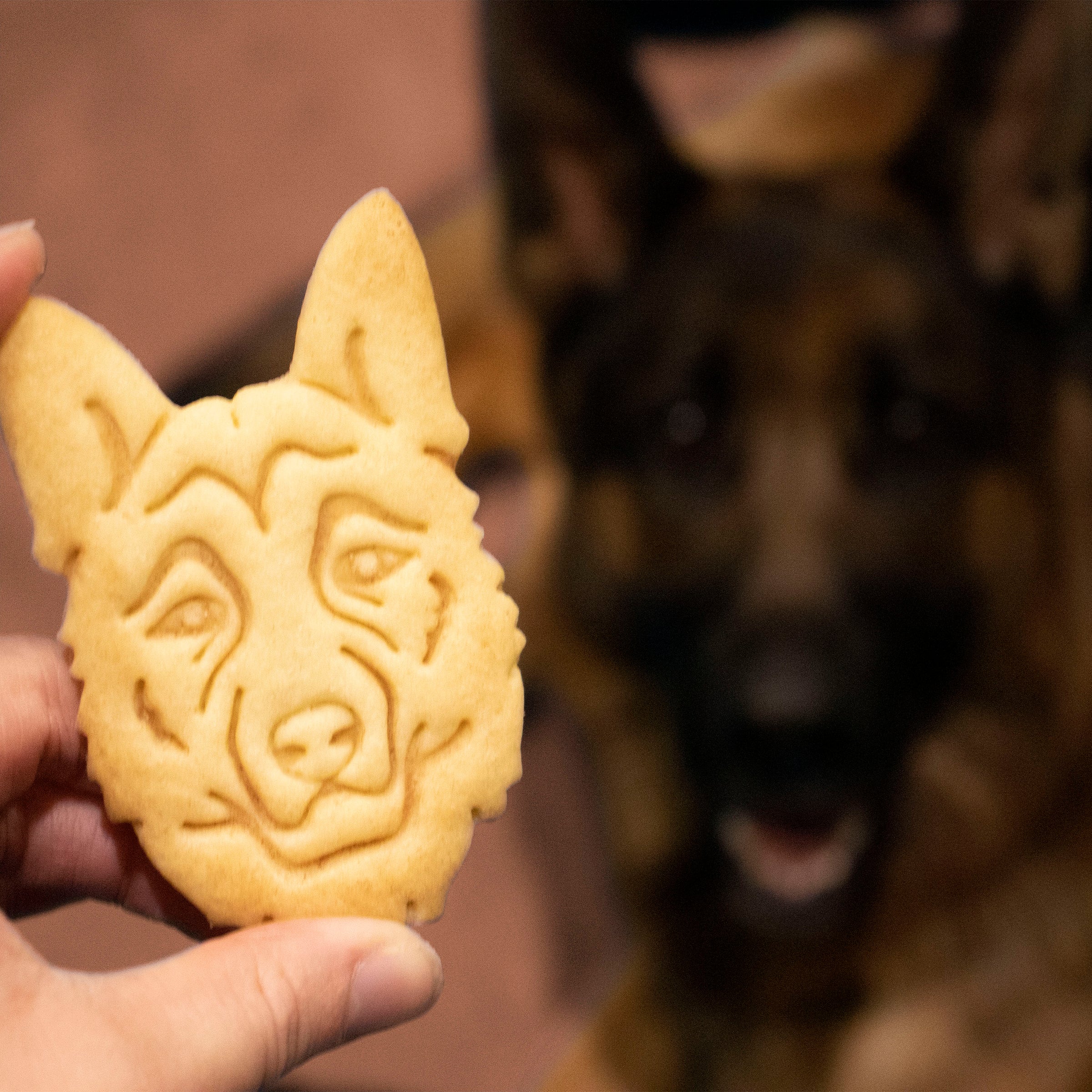 german shepherd face cookie