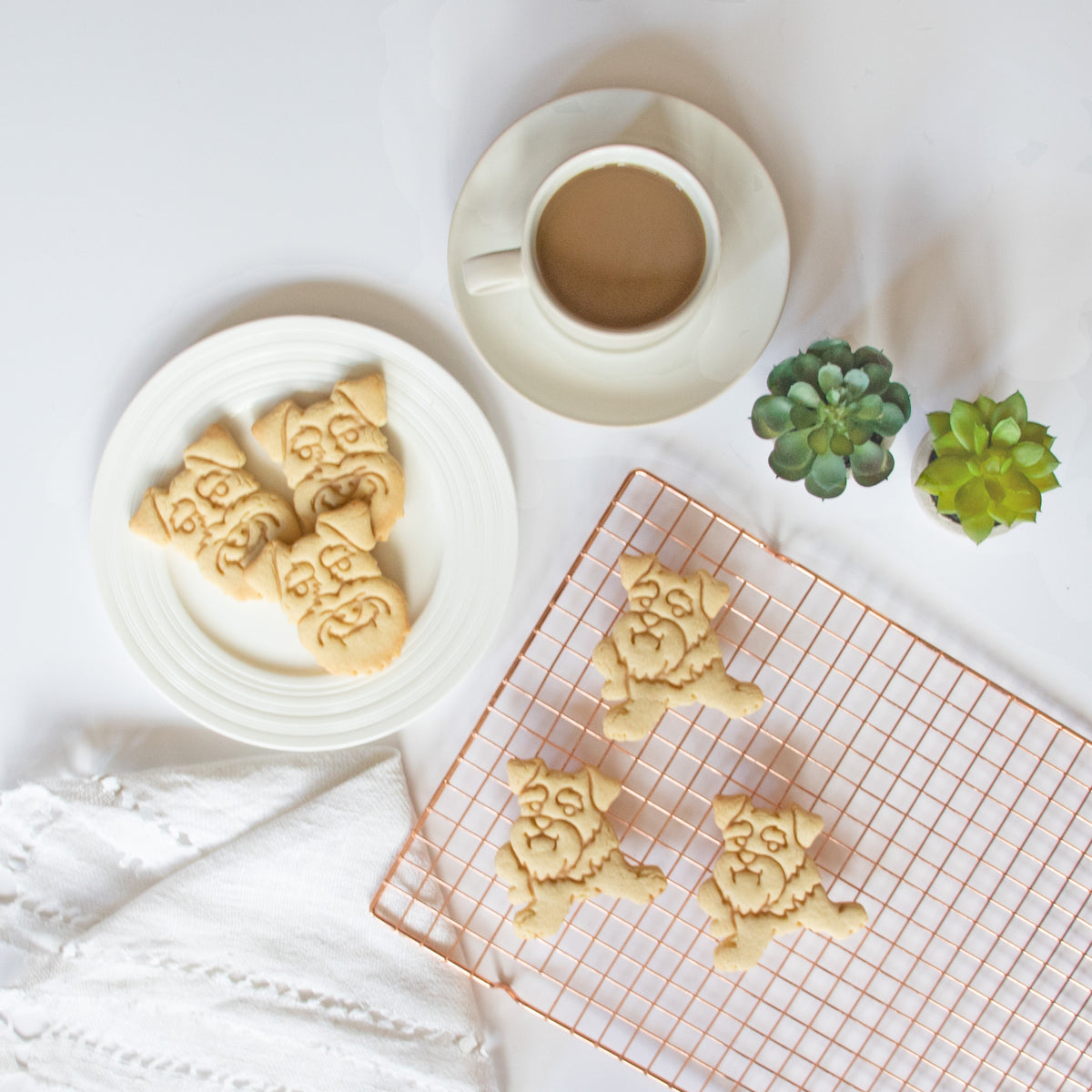 schnauzer dog cookies