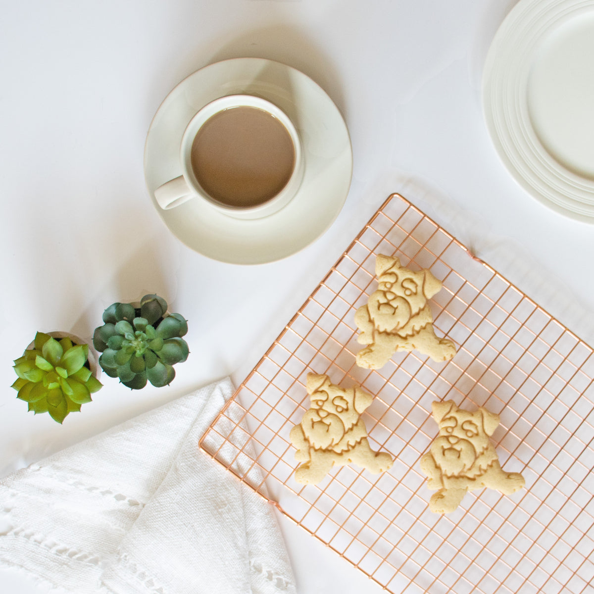 mini schnauzer dog cookies