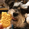 mini schnauzer eating schnauzer face cookie