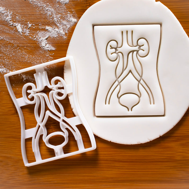 Urinary System Cookie Cutter