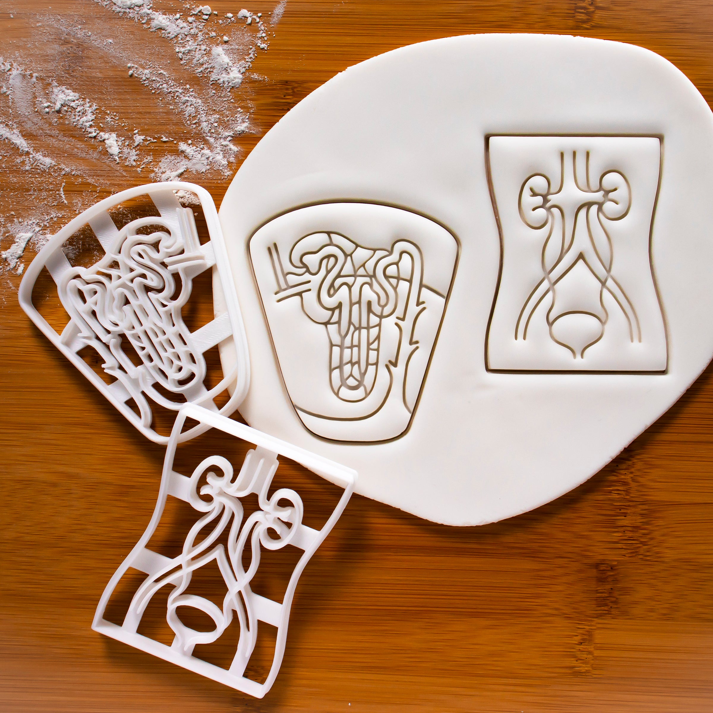 Set of 2 Cookie Cutters: Nephron & Urinary System