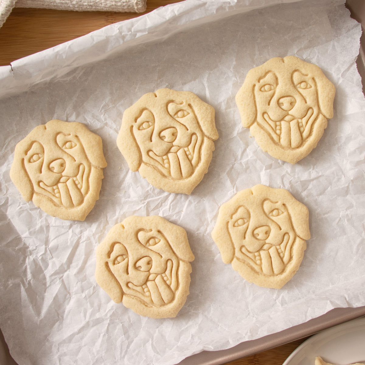 labrador retriever portrait cookies