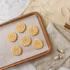 ammonite fossil cookies