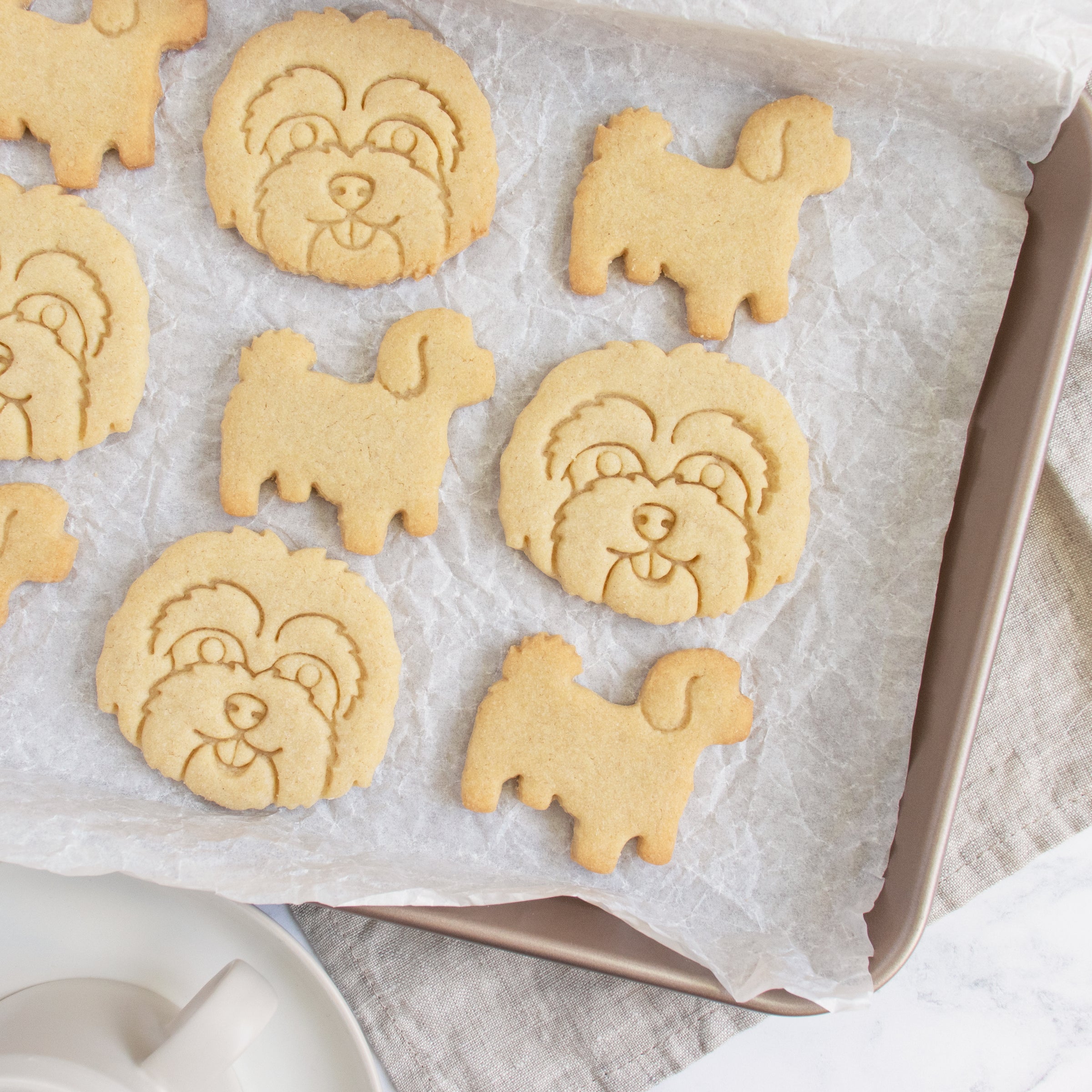 maltipoo silhouette and portrait cookies