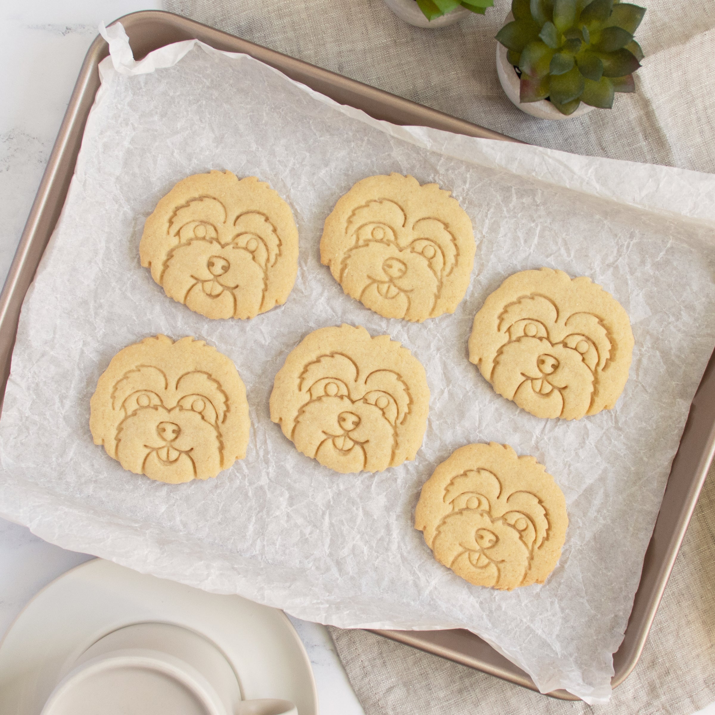 maltipoo portrait cookies