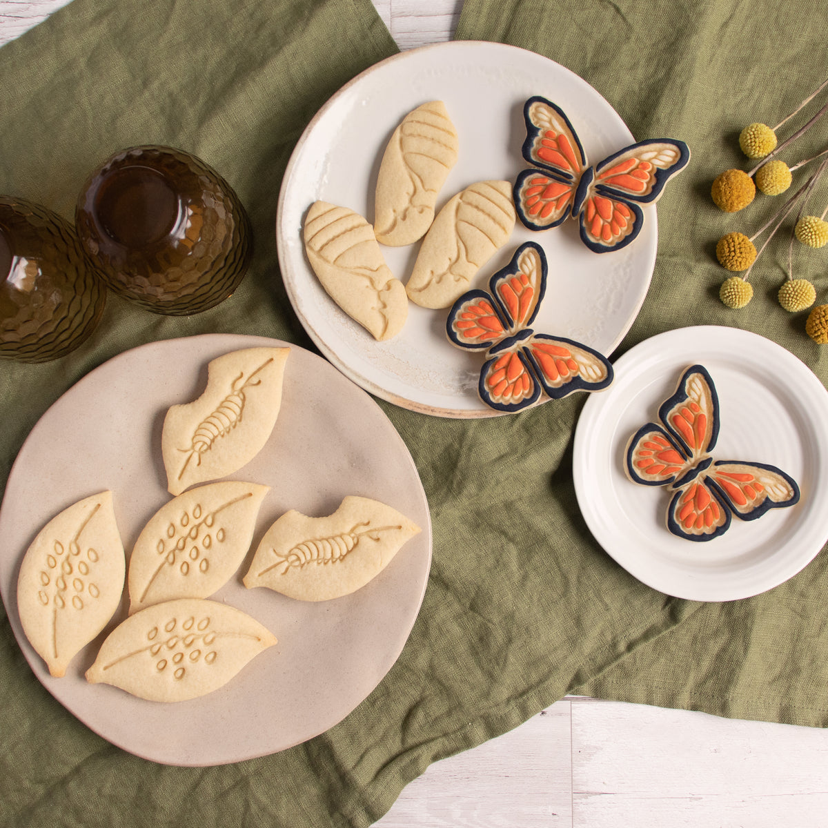 Set of 4 Monarch Butterfly Life Cycle Cookies
