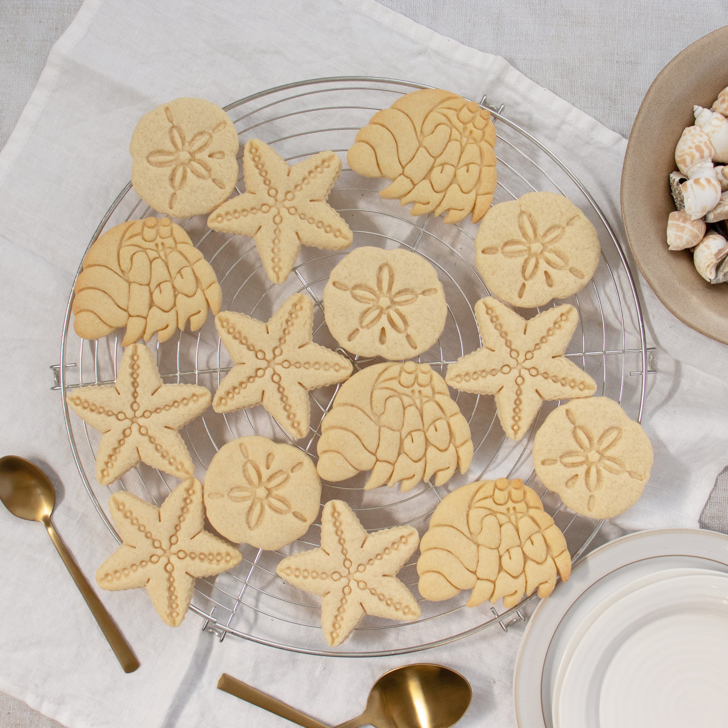 Set of 3 Nautical themed Cookies: Starfish, sand dollar, and hermit crab