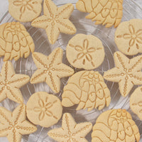 Set of 3 Nautical themed Cookies: Starfish, sand dollar, and hermit crab