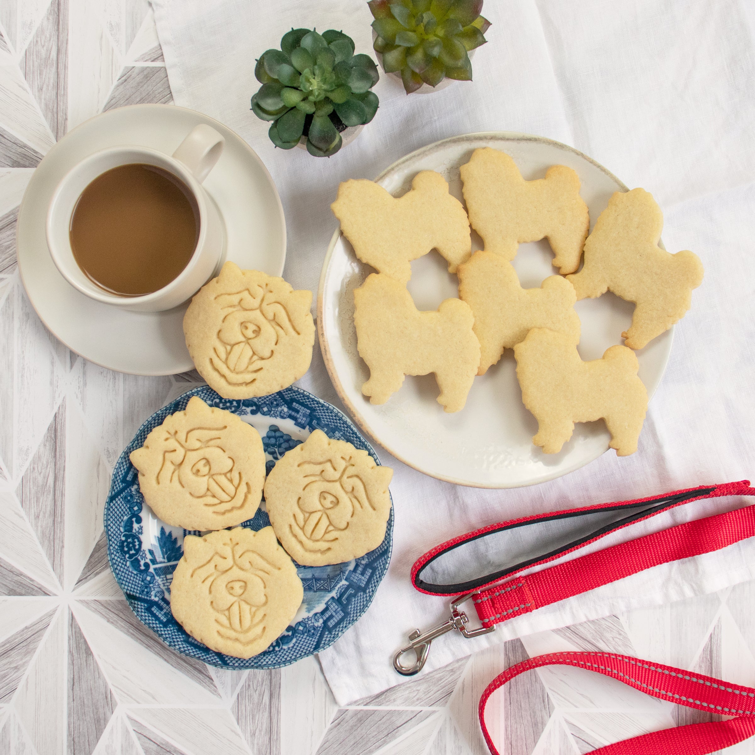 chow chow dog cookies