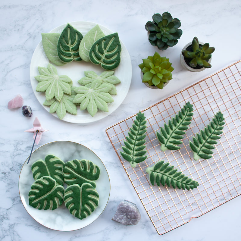 Monstera (Swiss Cheese Plant), Fern, Devil's Ivy, and Japanese Aralia (Paperplant) cookies