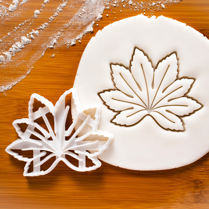 Japanese aralia (paperplant) cookie cutter