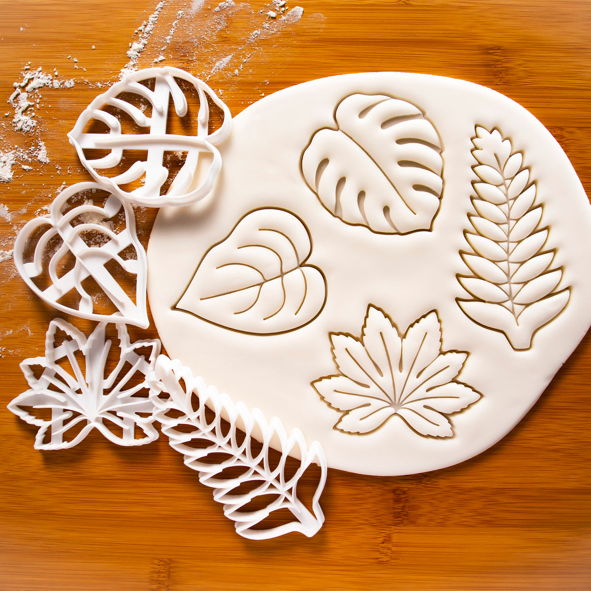 Monstera (Swiss Cheese Plant), Fern, Devil's Ivy, and Japanese Aralia (Paperplant) cookie cutters