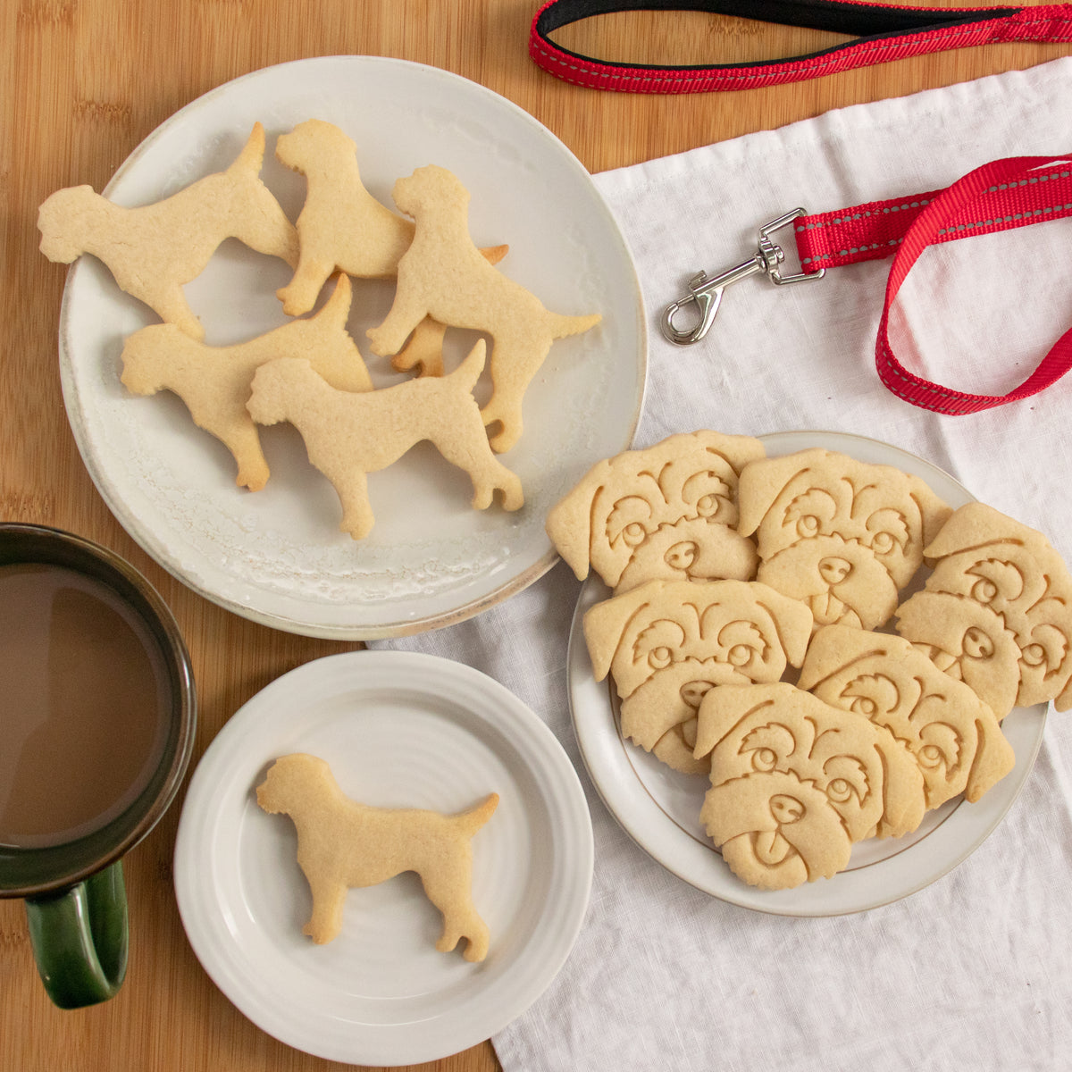 border terrier dog cookies