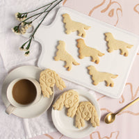 Show Cocker Spaniel Dog cookies