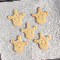 Thoracic Vertebra Cookies
