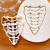Anterior Sacrum and Coccyx Cookie Cutter
