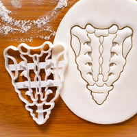 Posterior Sacrum and Coccyx Cookie Cutter