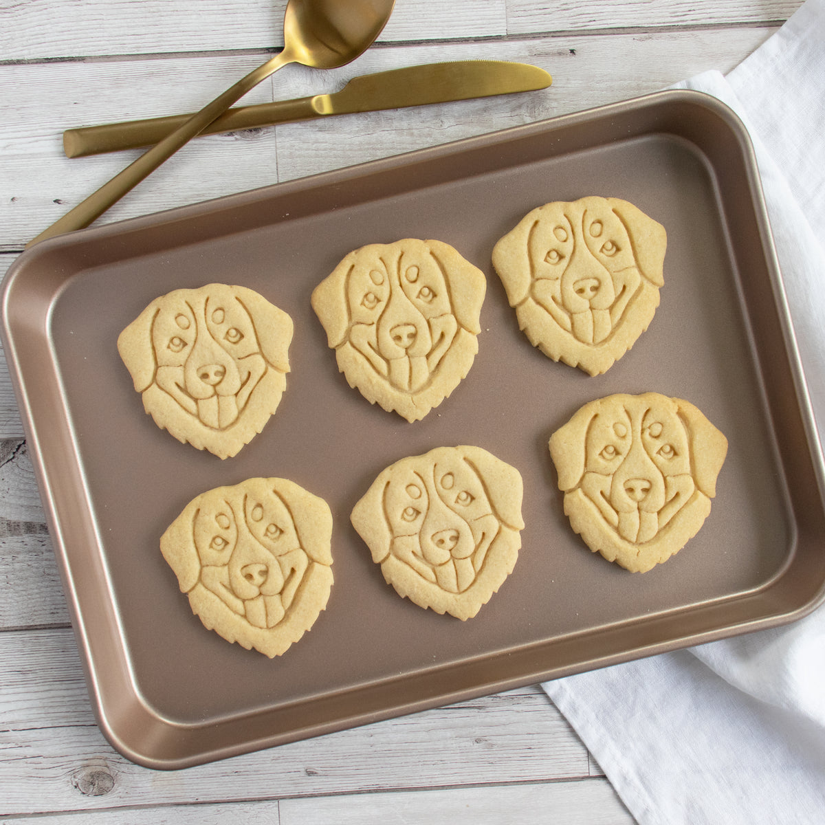 bernese mountain dog portrait cookies
