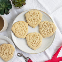 bernese mountain dog portrait cookies