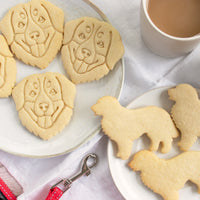 bernese mountain dog silhouette and portrait cookies