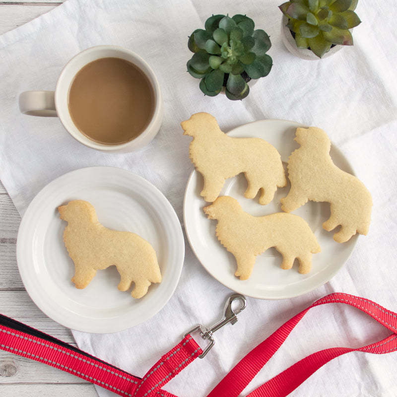 bernese mountain dog silhouette cookies