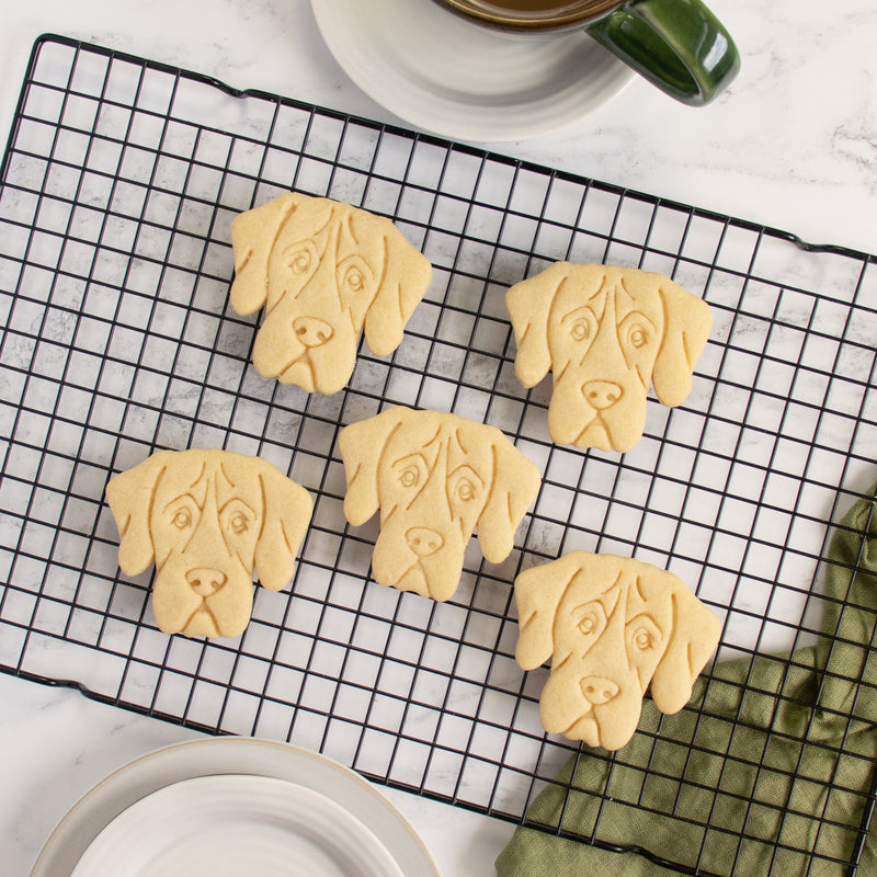 great dane dog face cookies