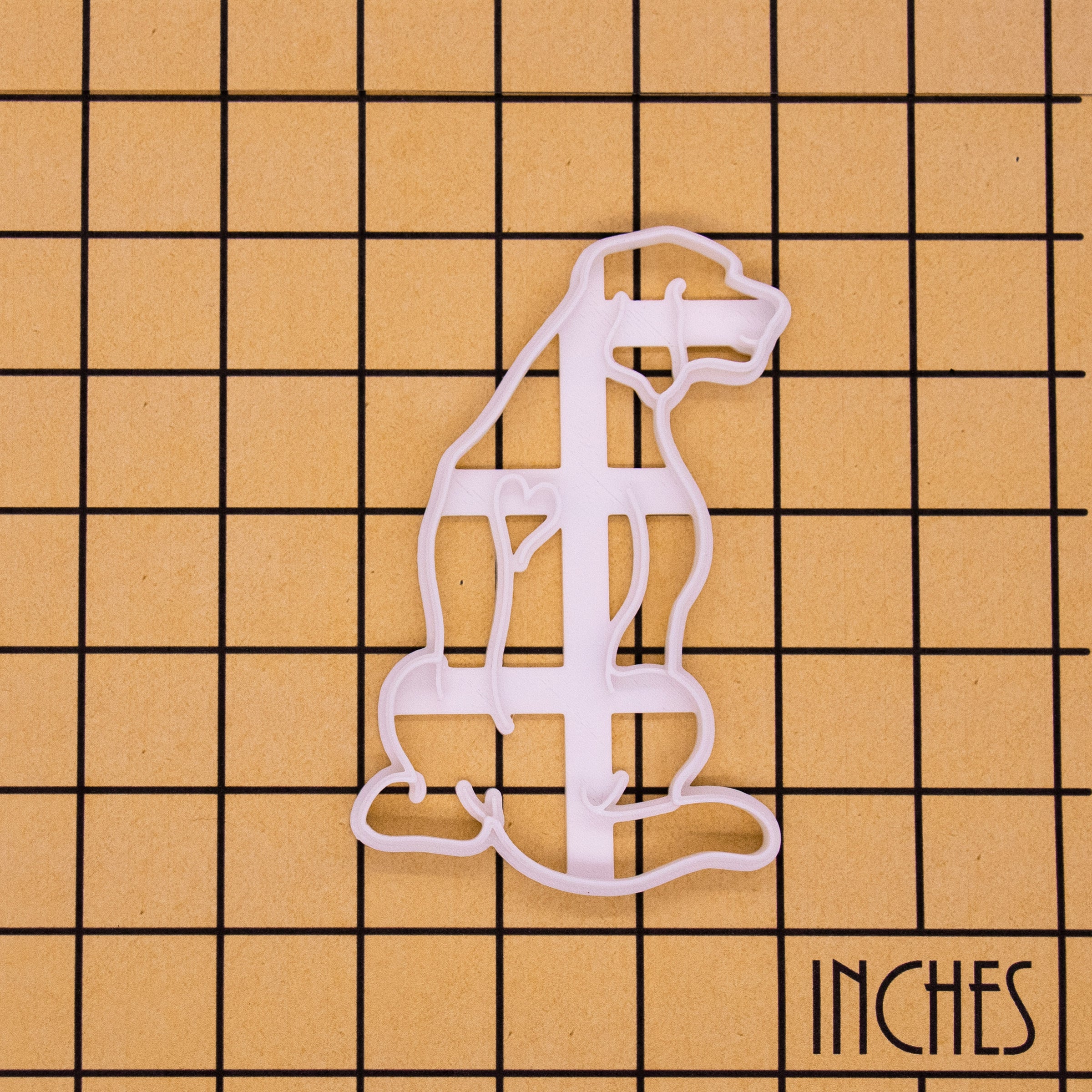 Rhodesian Ridgeback Body – Bakerlogy